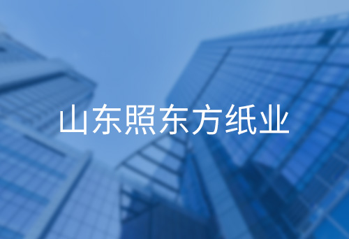 松滋山東照東方紙業(yè)