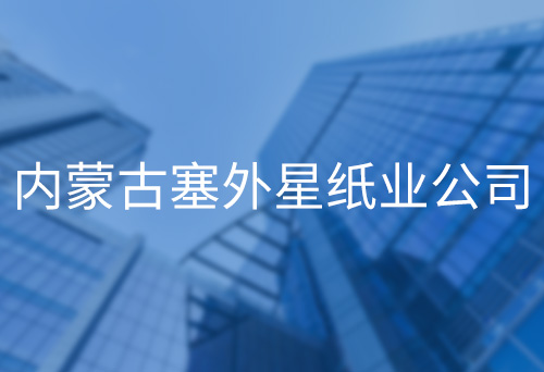 松滋內(nèi)蒙古塞外星紙業(yè)公司