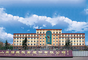 山東山東博匯紙業(yè)公司