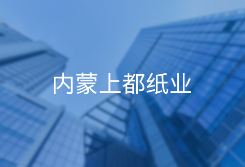 山東內(nèi)蒙上都紙業(yè)